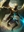 PunterBones's avatar