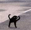 Athenn121's avatar