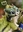 wulfgar_the_warhammer's avatar