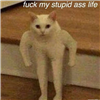 Z0Z's avatar