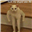 Z0Z's avatar