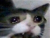 eggrolltheinvestigator's avatar