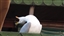 EndlessMind70's avatar