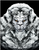 AlanChampion's avatar