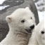 Esmeril's avatar