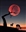 Vorpalwarhammer's avatar