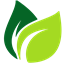 MasterSeed's avatar