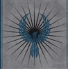 AloraStormrider's avatar