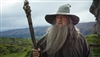 doctorcstevens's avatar