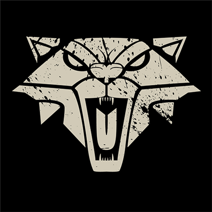 Witcher School Of The Cat Image