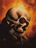 Andersx1's avatar