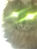 AlanW59870's avatar