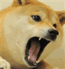 Shadow_Flareon_'s avatar