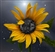 SilverPenInc's avatar