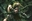 Handsomejosh14's avatar