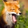 Stuno's avatar