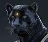 GalranMalborn's avatar