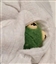 Jaehaeryz's avatar