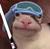 PoshlyJoshly's avatar
