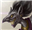 Im_Aquaman's avatar