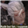 flighters42's avatar