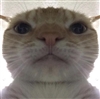 EllremX3's avatar