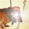 sleevey's avatar