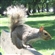 grysqrl's avatar