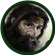 Halcyon312's avatar