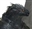 Pacatus's avatar