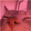 PatiStoica's avatar