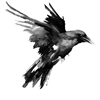 Holle's avatar