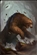 Bear54's avatar
