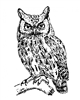 iola_victrola's avatar