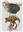 Gorgegrouse's avatar