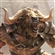 Anthos_NeVitore's avatar
