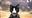 braxys's avatar