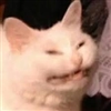 Veiled_Nova's avatar
