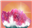 IudexVena's avatar