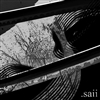 silas_db's avatar