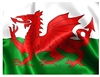 Brenin_y_Brenhinoedd's avatar