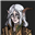 Anderty's avatar