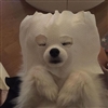 scribtwix's avatar