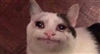 Sleepysheepy_'s avatar