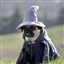 Lathre's avatar