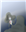 Raimon's avatar
