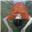 Nameless_Beanie's avatar