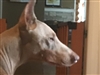 Coltye's avatar