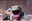Thegeckonamedtokay's avatar