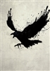 Dubhravn's avatar